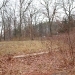Tesla's Wardenclyffe Laboratory: Part of Tower Base